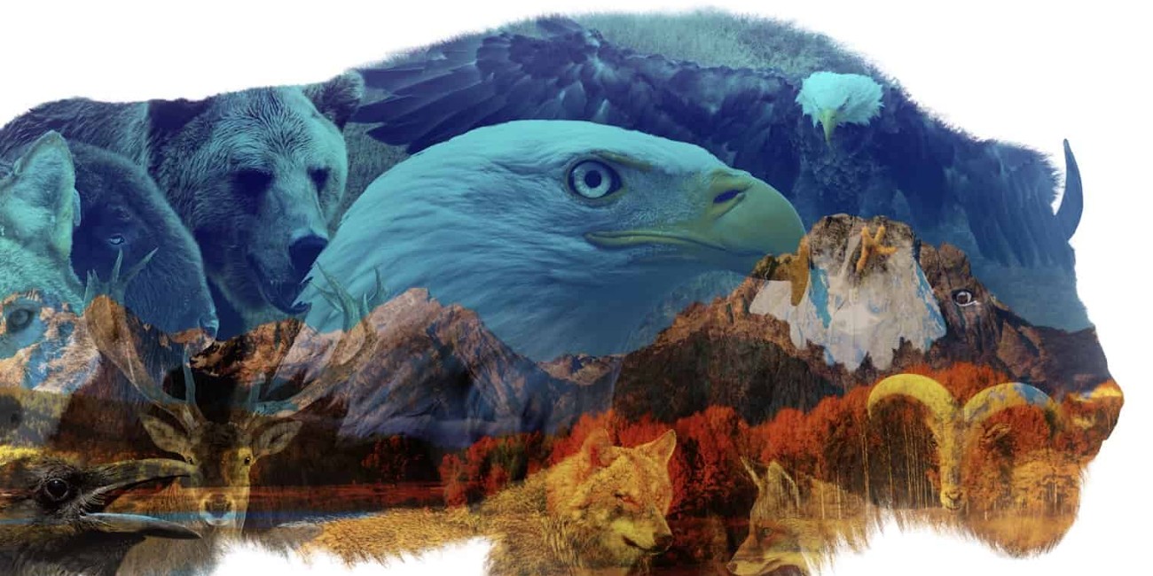 'America the Beautiful' review Michael B. Jordan narrates Disney+ doc